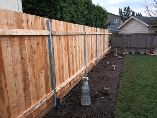 Privacy fence