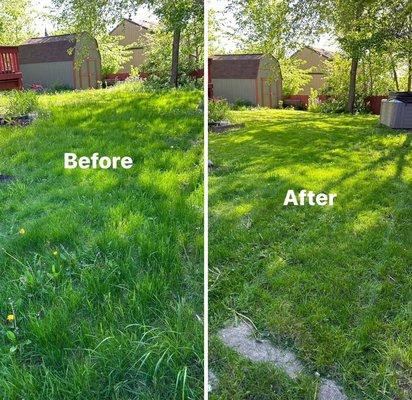 Nothing beats a fresh cut lawn.