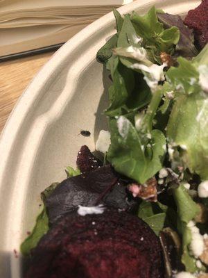 "Just Beet It" salad with a live bug in it