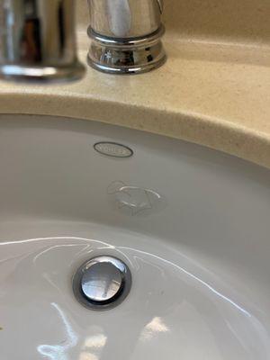 Hair in sink after we checked in.