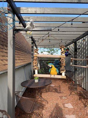 Bird Sanctuary between barn and garage