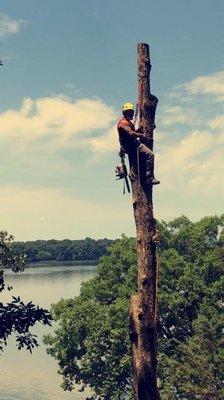 Tree Pro. Inc is a tree trimming and tree service company serving huntsville. We specialize in the trimming and removal of tr...