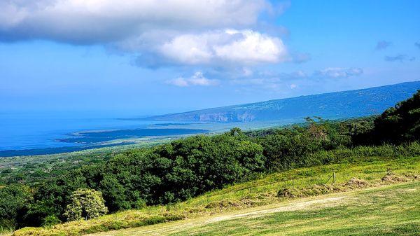 View north toward Kealakekua Bay