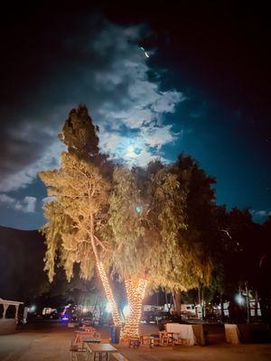 Moon in October within the Soledad Vortex becomes ghostier as it glimmers behind a cloud-edge