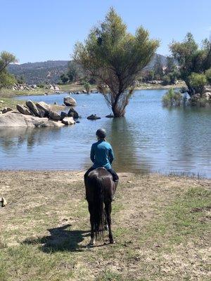 Quiet Lake walk