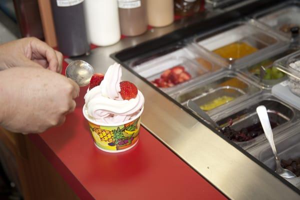 Frozen Yogurt with Fresh Fruits