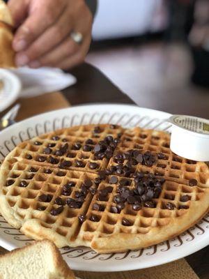 Amazing Chocolate Chip Waffle