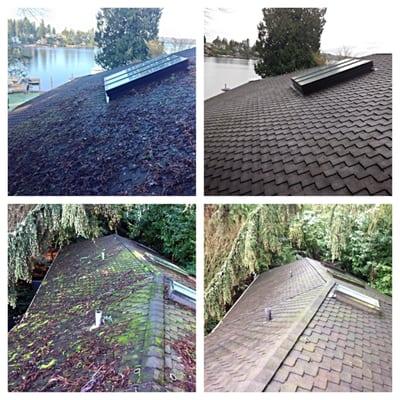 Clyde Hill - Gutter Cleaning & Moss Removal and Treatment