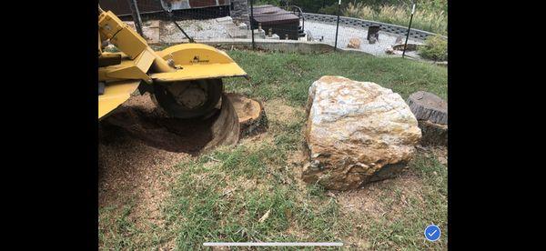 Stump grinding for our friends in Ashland Alabama