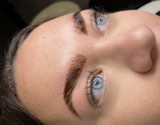 Eyebrow Lamination, Tint & Wax