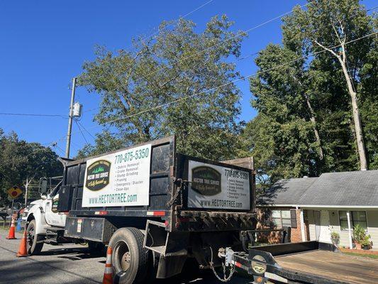 Hector Tree Service