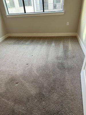 Carpet cleaner