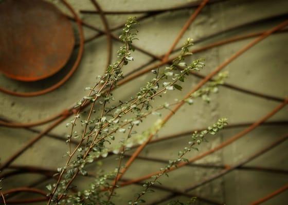 This trellis, made by Rory Leonard, lines the cobblestone path.  It keeps the climbing hydrangeas very happy!