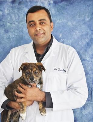 Meet Dr. Chaudhry - best pal for your furry friend