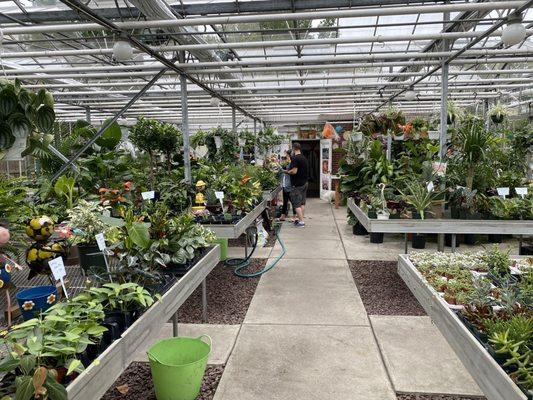 Greenhouse of indoor plants