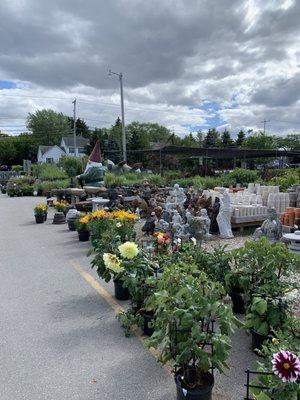 Statuary and bushes