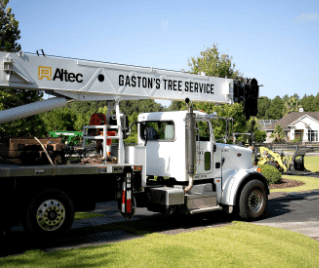 Gaston'sTree Service LLC