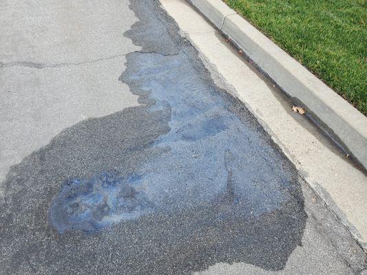 Gas leaked onto the street where I parked my car overnight after the "repair".