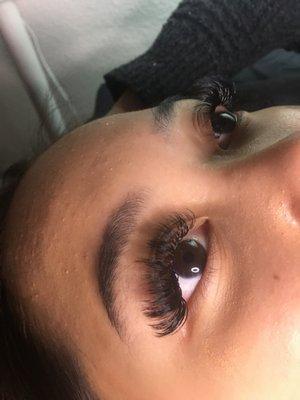 Volume lashes