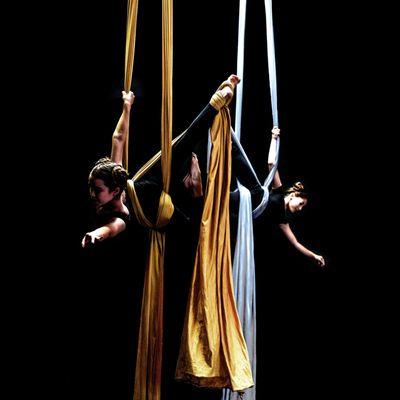 Girls on silks