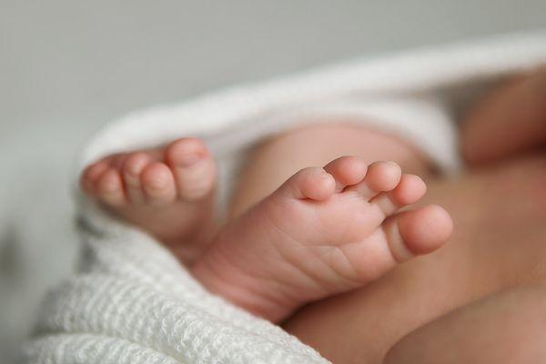 Newborn Toes - Detail Picture.