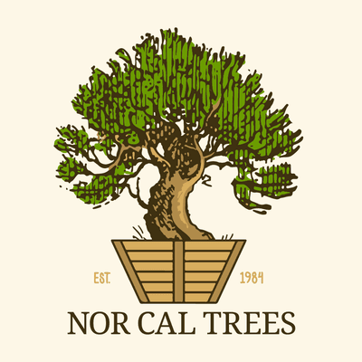 Nor Cal Trees