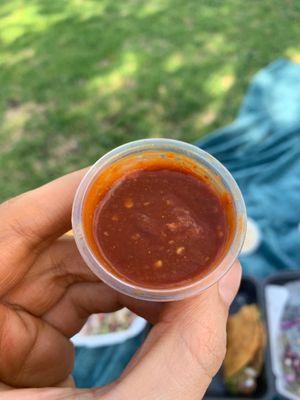 Spicy delicious red salsa