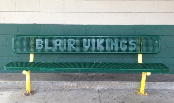 Relaxing Blair Vikings bench!