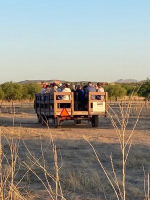 Wagon Rides