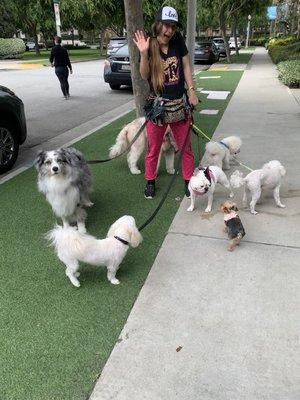 I was walking my dog Bella who was so excited to see her best girlfriend/nanny, Ariana, & join the pack