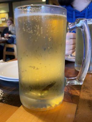 tall bud light (~24oz)