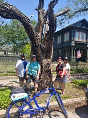 Turtles and Trees Guided Tour