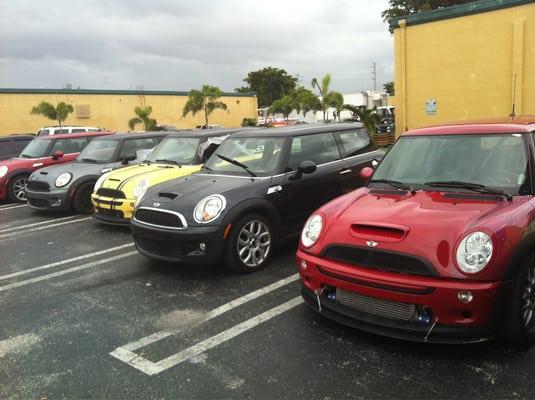 All MINI Coopers waiting patiently for their turn