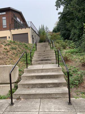 Stairs up to the Town Hall.