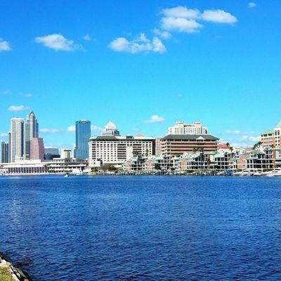 Seddon Channel, looking toward Downtown Tampa