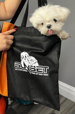 Puchy, our adorable company mascot, is comfortably sitting inside one of our eco-friendly, reusable bags.