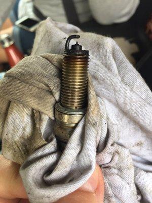 The spark plug they pulled and replaced