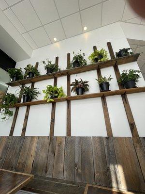 Plant wall below the tables