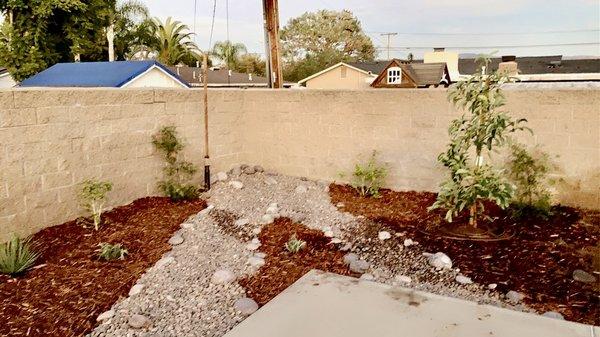 River bed with Arizona pebbles