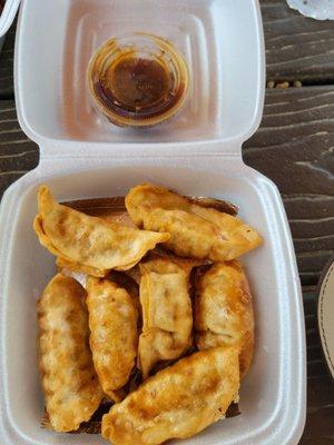 Fried Potstickers (I think they gave us an extra to be nice )