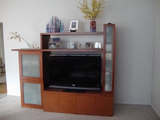 Custom TV Unit