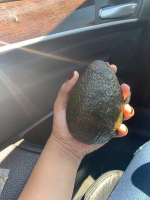 Los aguacates siempre me an gustado aki y siempre salen perfectos pero se pasan con el precio 4.50 cada aguacate de verdad que no va.