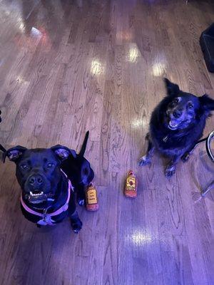 Yappy Hour