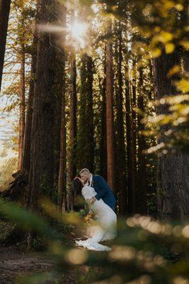 A sweet moment in the redwood trees