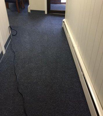 Carpet Cleaning using Carpet Extractor