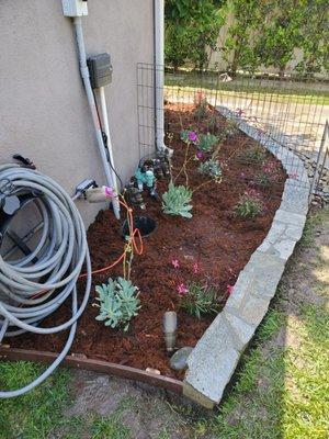 Side yard- mulch and plants. Keeping it nice and clean.