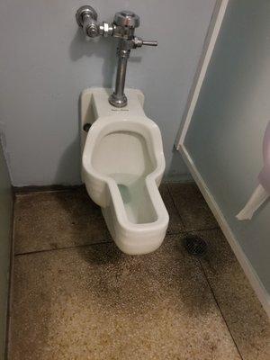 Why is this toilet in the ladies bathroom?