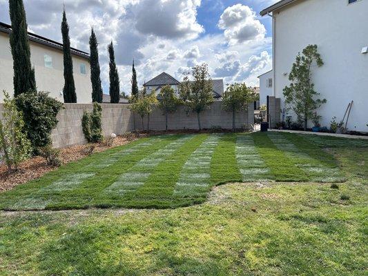 We took out a playground and Layout new sod