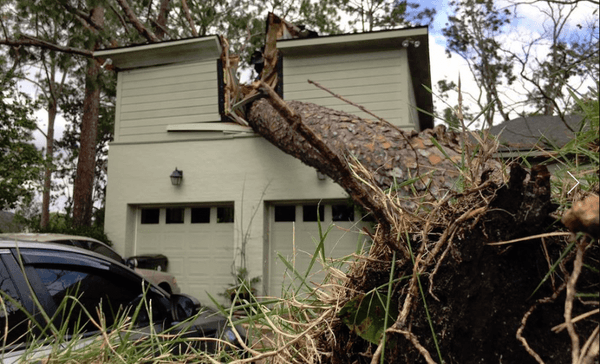 We specialize in emergency tree removal!