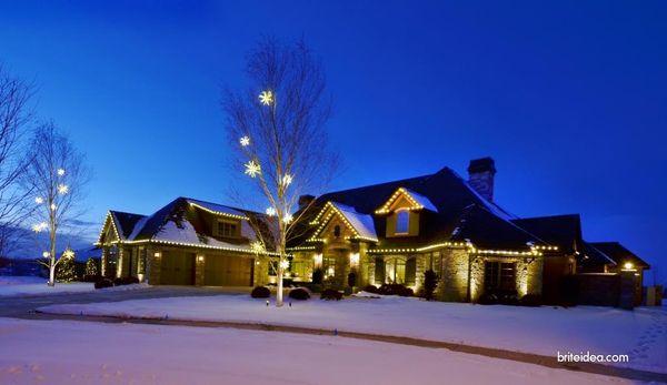 We do holiday lighting too!!!